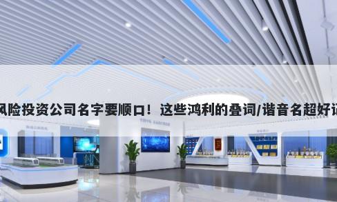 风险投资公司名字要顺口！这些鸿利的叠词/谐音名超好记