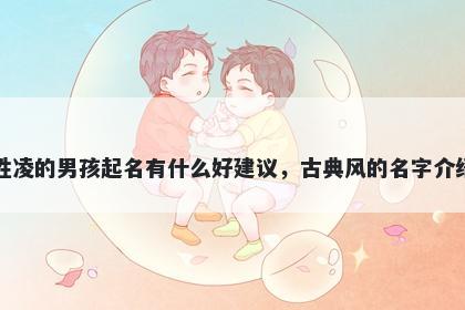 姓凌的男孩起名有什么好建议，古典风的名字介绍