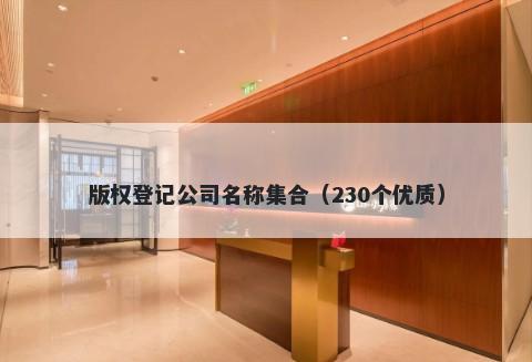 版权登记公司名称集合（230个优质）