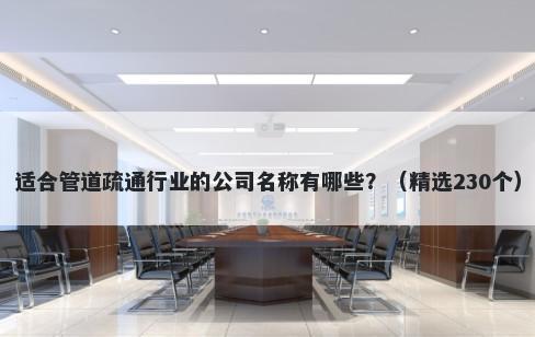 适合管道疏通行业的公司名称有哪些？（精选230个）