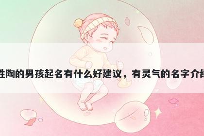 姓陶的男孩起名有什么好建议，有灵气的名字介绍