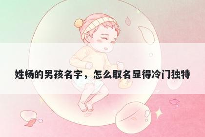 姓杨的男孩名字，怎么取名显得冷门独特