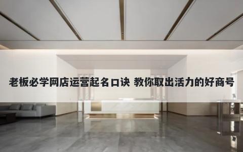 老板必学网店运营起名口诀 教你取出活力的好商号