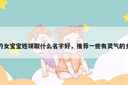 刚出生的女宝宝姓项取什么名字好，推荐一些有灵气的女孩名字