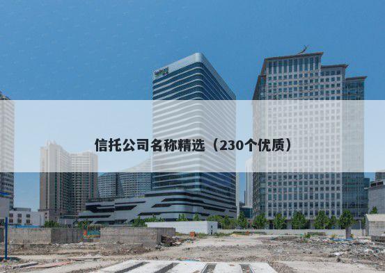 信托公司名称精选（230个优质）