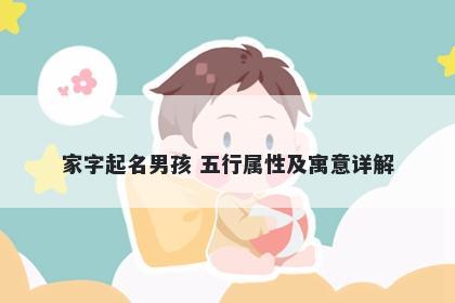 家字起名男孩 五行属性及寓意详解
