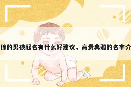 姓徐的男孩起名有什么好建议，高贵典雅的名字介绍