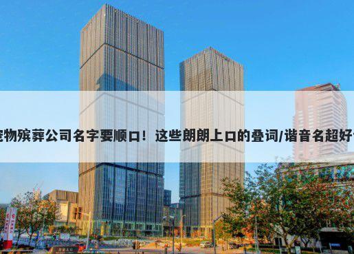 宠物殡葬公司名字要顺口！这些朗朗上口的叠词/谐音名超好记