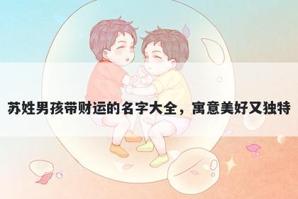 苏姓男孩带财运的名字大全，寓意美好又独特