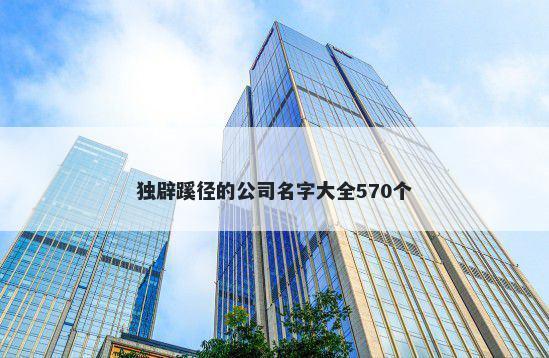 独辟蹊径的公司名字大全570个