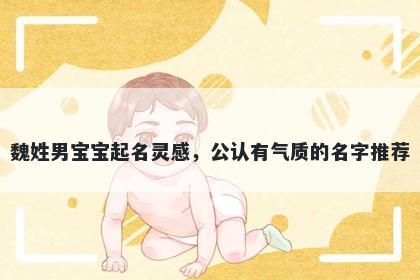 魏姓男宝宝起名灵感，公认有气质的名字推荐