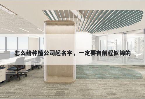 怎么给种植公司起名字，一定要有前程似锦的