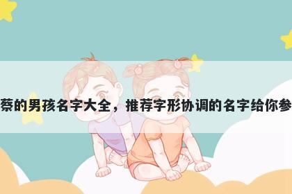 姓蔡的男孩名字大全，推荐字形协调的名字给你参考