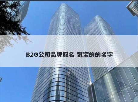 B2G公司品牌取名 聚宝的的名字