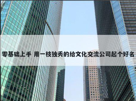 零基础上手 用一枝独秀的给文化交流公司起个好名