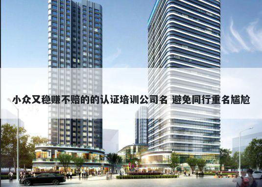 小众又稳赚不赔的的认证培训公司名 避免同行重名尴尬