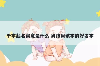 千字起名寓意是什么 男孩用该字的好名字