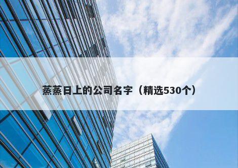 蒸蒸日上的公司名字（精选530个）