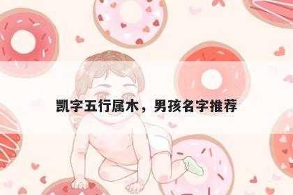 凯字五行属木，男孩名字推荐