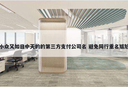 小众又如日中天的的第三方支付公司名 避免同行重名尴尬