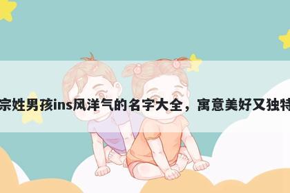 宗姓男孩ins风洋气的名字大全，寓意美好又独特
