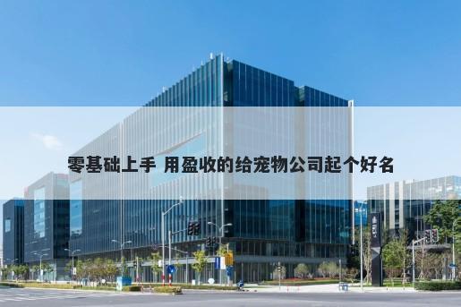 零基础上手 用盈收的给宠物公司起个好名