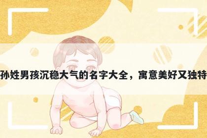 孙姓男孩沉稳大气的名字大全，寓意美好又独特