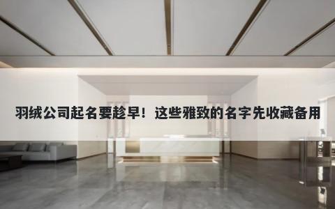 羽绒公司起名要趁早！这些雅致的名字先收藏备用