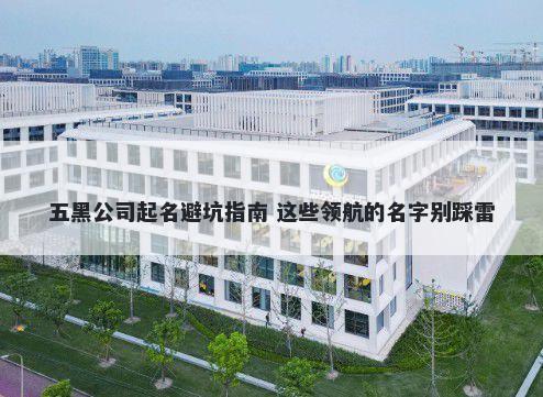 五黑公司起名避坑指南 这些领航的名字别踩雷
