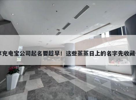 共享充电宝公司起名要趁早！这些蒸蒸日上的名字先收藏备用