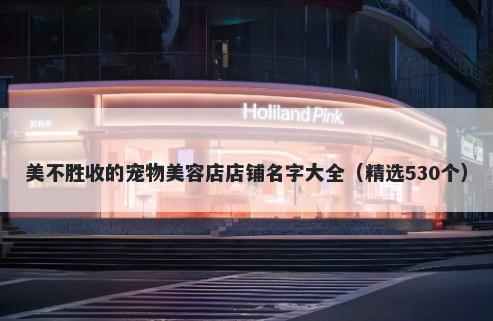 美不胜收的宠物美容店店铺名字大全（精选530个）