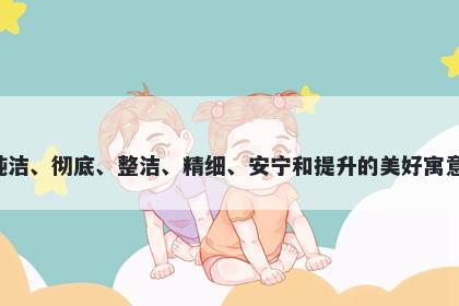 净字五行属金，取名寓意净这个字体现了一种纯洁、彻底、整洁、精细、安宁和提升的美好寓意，适合用于表达高尚、积极、向上的人生态度。