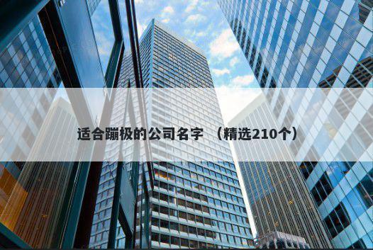 适合蹦极的公司名字 （精选210个）