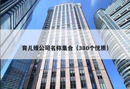 育儿嫂公司名称集合（380个优质）