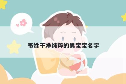 韦姓干净纯粹的男宝宝名字