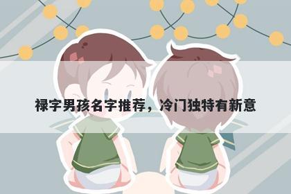 禄字男孩名字推荐，冷门独特有新意