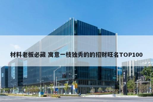 材料老板必藏 寓意一枝独秀的的招财旺名TOP100