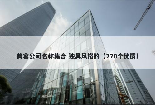 美容公司名称集合 独具风格的（270个优质）