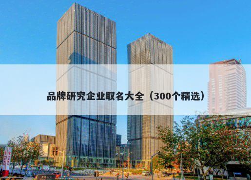品牌研究企业取名大全（300个精选）