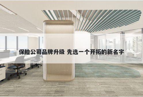 保险公司品牌升级 先选一个开拓的新名字
