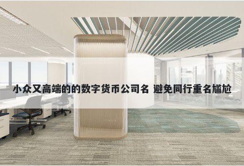 小众又高端的的数字货币公司名 避免同行重名尴尬