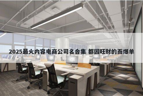 2025最火内容电商公司名合集 都因旺财的而爆单