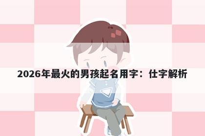 2026年最火的男孩起名用字：仕字解析