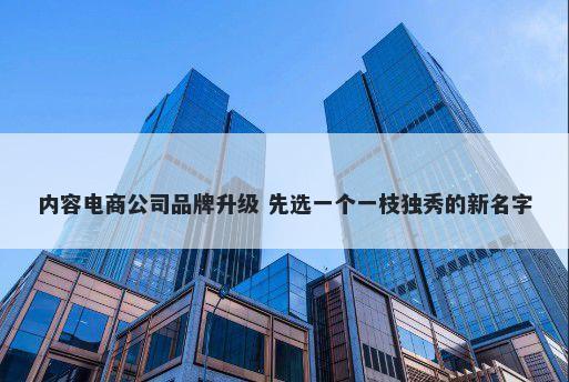 内容电商公司品牌升级 先选一个一枝独秀的新名字