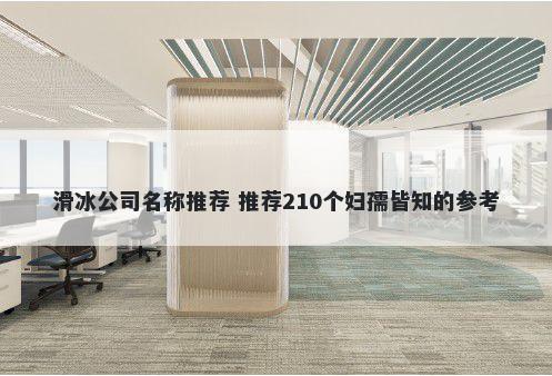滑冰公司名称推荐 推荐210个妇孺皆知的参考