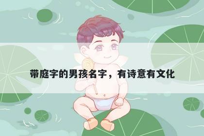 带庭字的男孩名字，有诗意有文化