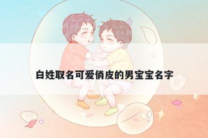 白姓取名可爱俏皮的男宝宝名字