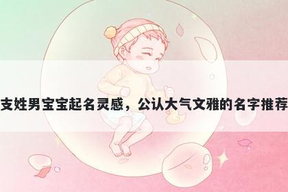 支姓男宝宝起名灵感，公认大气文雅的名字推荐