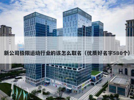 新公司极限运动行业的该怎么取名（优质好名字580个）