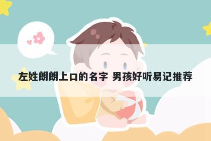 左姓朗朗上口的名字 男孩好听易记推荐